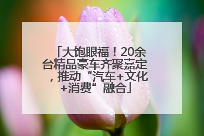 大饱眼福！20余台精品豪车齐聚嘉定，推动“汽车+文化+消费”融合