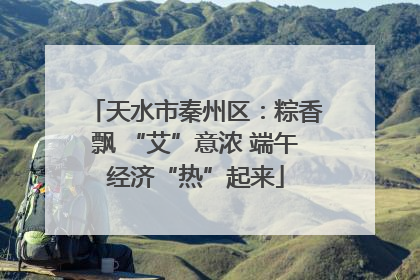 天水市秦州区：粽香飘 “艾”意浓 端午经济“热”起来