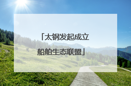 太钢发起成立船舶生态联盟
