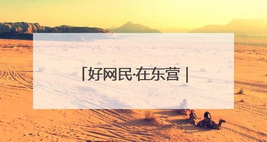 好网民·在东营｜张泽琦：匠心绘就东营“诗与远方”