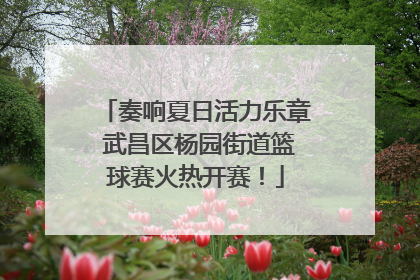奏响夏日活力乐章 武昌区杨园街道篮球赛火热开赛！