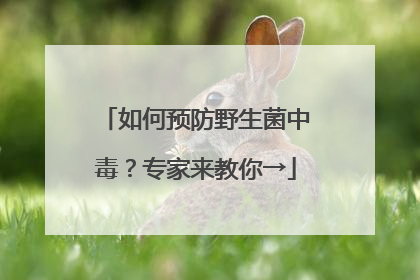 如何预防野生菌中毒？专家来教你→