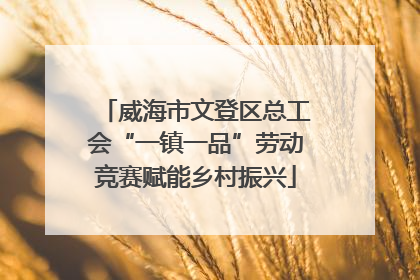 威海市文登区总工会“一镇一品”劳动竞赛赋能乡村振兴