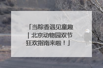 当粽香遇见童趣｜北京动物园双节狂欢指南来啦！