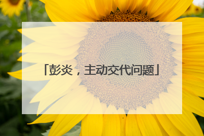彭炎，主动交代问题