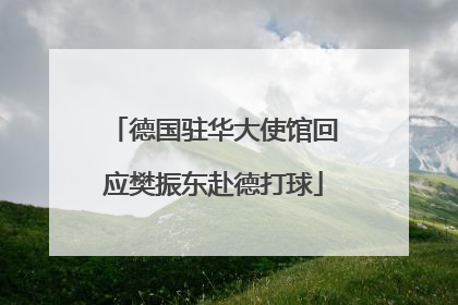 德国驻华大使馆回应樊振东赴德打球