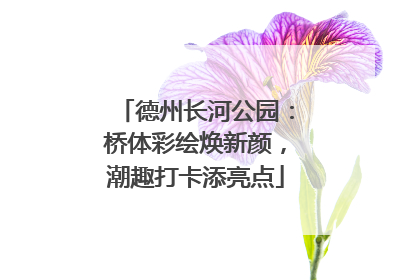 德州长河公园：桥体彩绘焕新颜，潮趣打卡添亮点