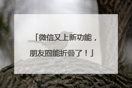微信又上新功能，朋友圈能折叠了！