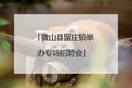 微山县留庄镇举办专场招聘会