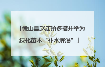 微山县赵庙镇多措并举为绿化苗木“补水解渴”