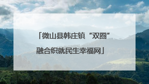 微山县韩庄镇“双圈”融合织就民生幸福网