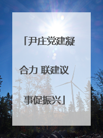 尹庄党建凝合力 联建议事促振兴