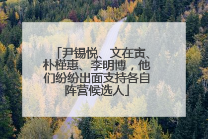 尹锡悦、文在寅、朴槿惠、李明博，他们纷纷出面支持各自阵营候选人