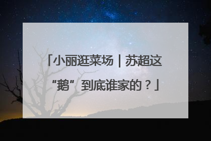 小丽逛菜场｜苏超这“鹅”到底谁家的？