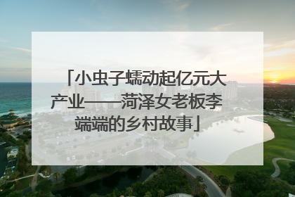 小虫子蠕动起亿元大产业——菏泽女老板李端端的乡村故事