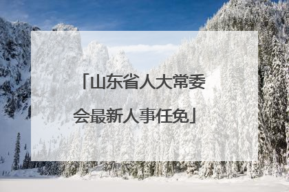 山东省人大常委会最新人事任免