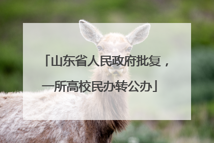 山东省人民政府批复，一所高校民办转公办