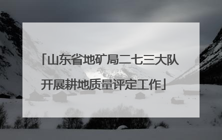 山东省地矿局二七三大队开展耕地质量评定工作