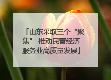 山东采取三个“聚焦” 推动民营经济服务业高质量发展