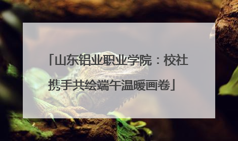山东铝业职业学院：校社携手共绘端午温暖画卷