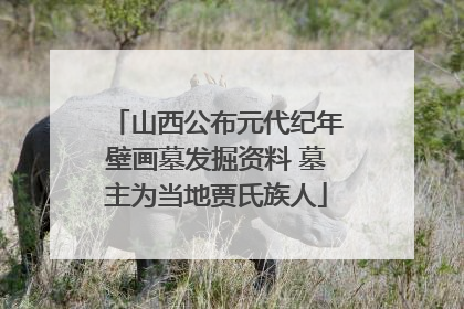 山西公布元代纪年壁画墓发掘资料 墓主为当地贾氏族人
