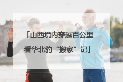 山西境内穿越百公里 看华北豹“搬家”记
