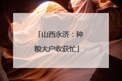 山西永济：种粮大户收获忙