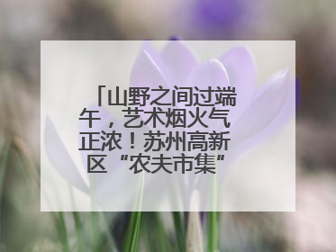 山野之间过端午，艺术烟火气正浓！苏州高新区“农夫市集”火热进行中