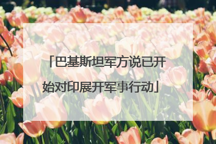 巴基斯坦军方说已开始对印展开军事行动