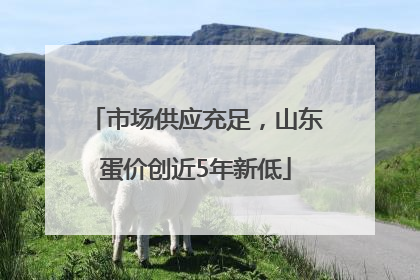 市场供应充足，山东蛋价创近5年新低