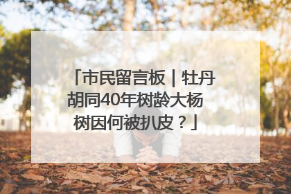 市民留言板｜牡丹胡同40年树龄大杨树因何被扒皮？