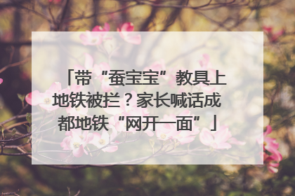 带“蚕宝宝”教具上地铁被拦？家长喊话成都地铁“网开一面”