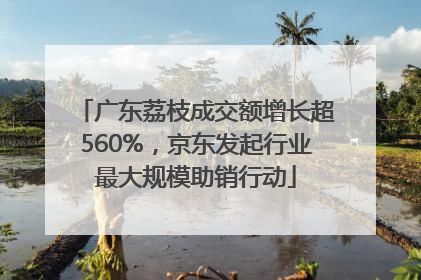 广东荔枝成交额增长超560%，京东发起行业最大规模助销行动