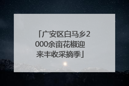 广安区白马乡2000余亩花椒迎来丰收采摘季