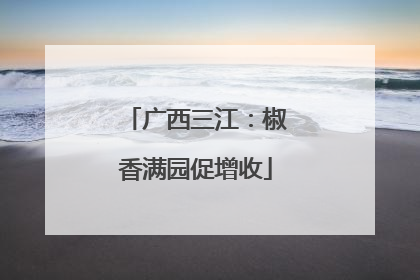 广西三江：椒香满园促增收