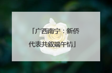广西南宁：新侨代表共叙端午情