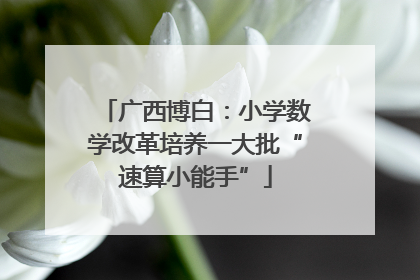 广西博白：小学数学改革培养一大批“速算小能手”