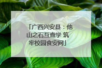 广西兴安县：他山之石互查学 筑牢校园食安网