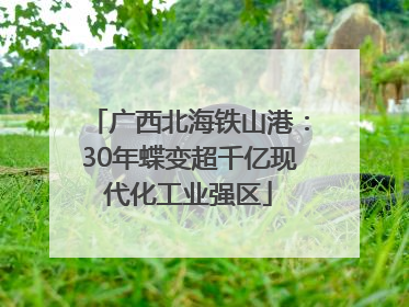 广西北海铁山港：30年蝶变超千亿现代化工业强区