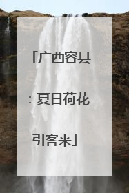 广西容县：夏日荷花引客来