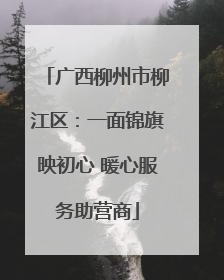 广西柳州市柳江区：一面锦旗映初心 暖心服务助营商