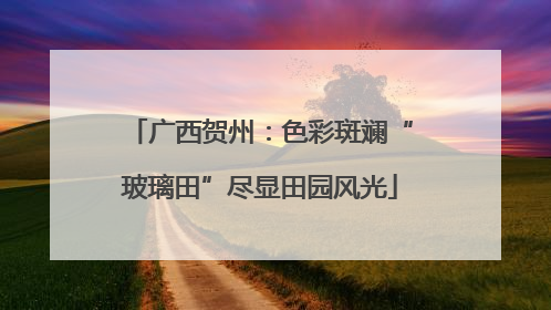 广西贺州：色彩斑斓“玻璃田”尽显田园风光