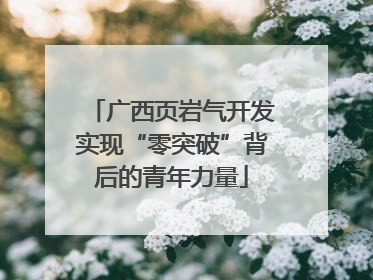 广西页岩气开发实现“零突破”背后的青年力量
