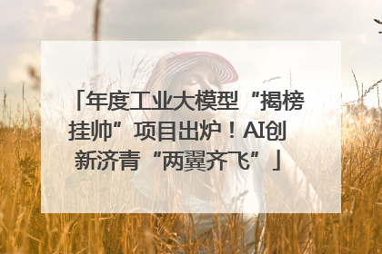 年度工业大模型“揭榜挂帅”项目出炉！AI创新济青“两翼齐飞”
