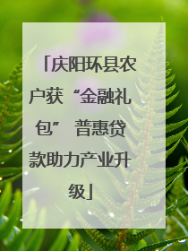 庆阳环县农户获“金融礼包” 普惠贷款助力产业升级