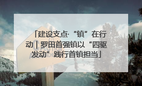 建设支点·“镇”在行动｜罗田首强镇以“四驱发动”践行首镇担当
