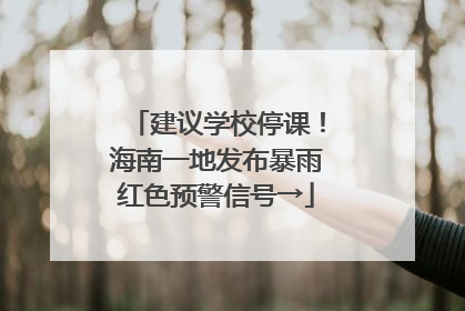 建议学校停课！海南一地发布暴雨红色预警信号→