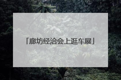 廊坊经洽会上逛车展