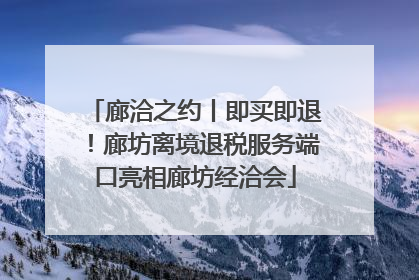 廊洽之约丨即买即退！廊坊离境退税服务端口亮相廊坊经洽会