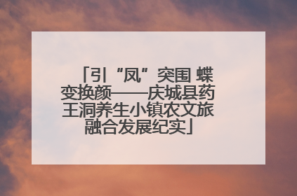 引“凤”突围 蝶变换颜——庆城县药王洞养生小镇农文旅融合发展纪实